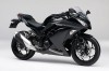 Ninja250／エボニー（BLK)