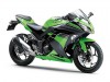 Ninja250 Special Edition／ライムグリーン×エボニー（LIM)