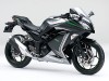 Ninja250 ABS S/E GRY 2015