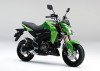 Z125PRO GRN