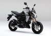 Z125PRO GRY