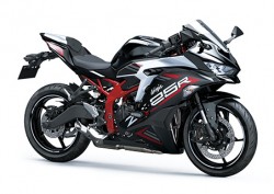 Ninja ZX-25R SEメタリックスパークブラック×パールフラットスターダストホワイト